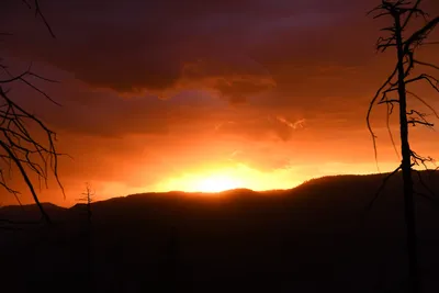 DSC_4569 (Large).JPG